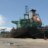 cxz2-img_7118.jpg