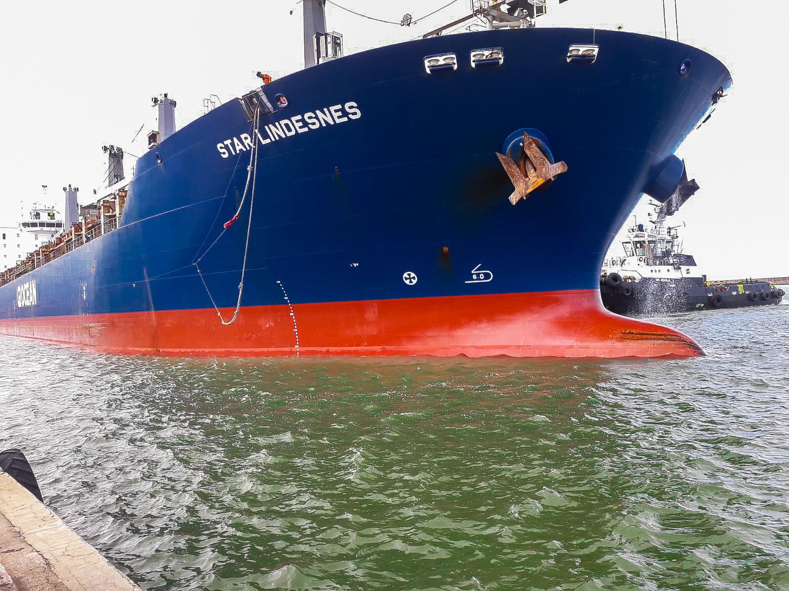 Porto do Recife recebe navio com quatro tipos de carga